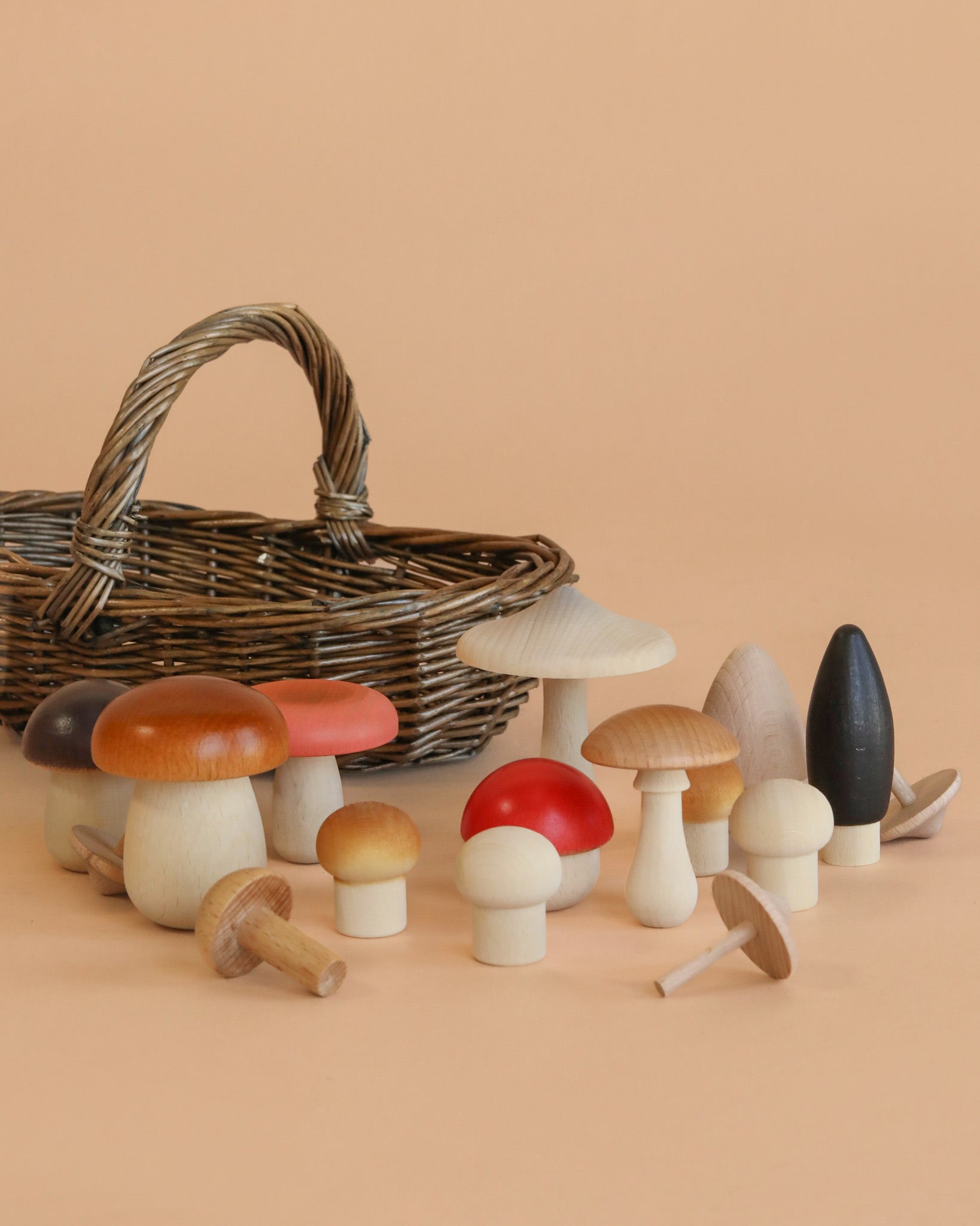 Forest Mushrooms Basket