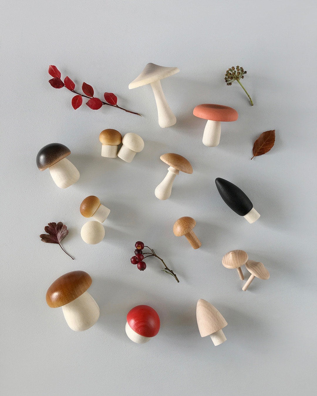 Forest Mushrooms Basket