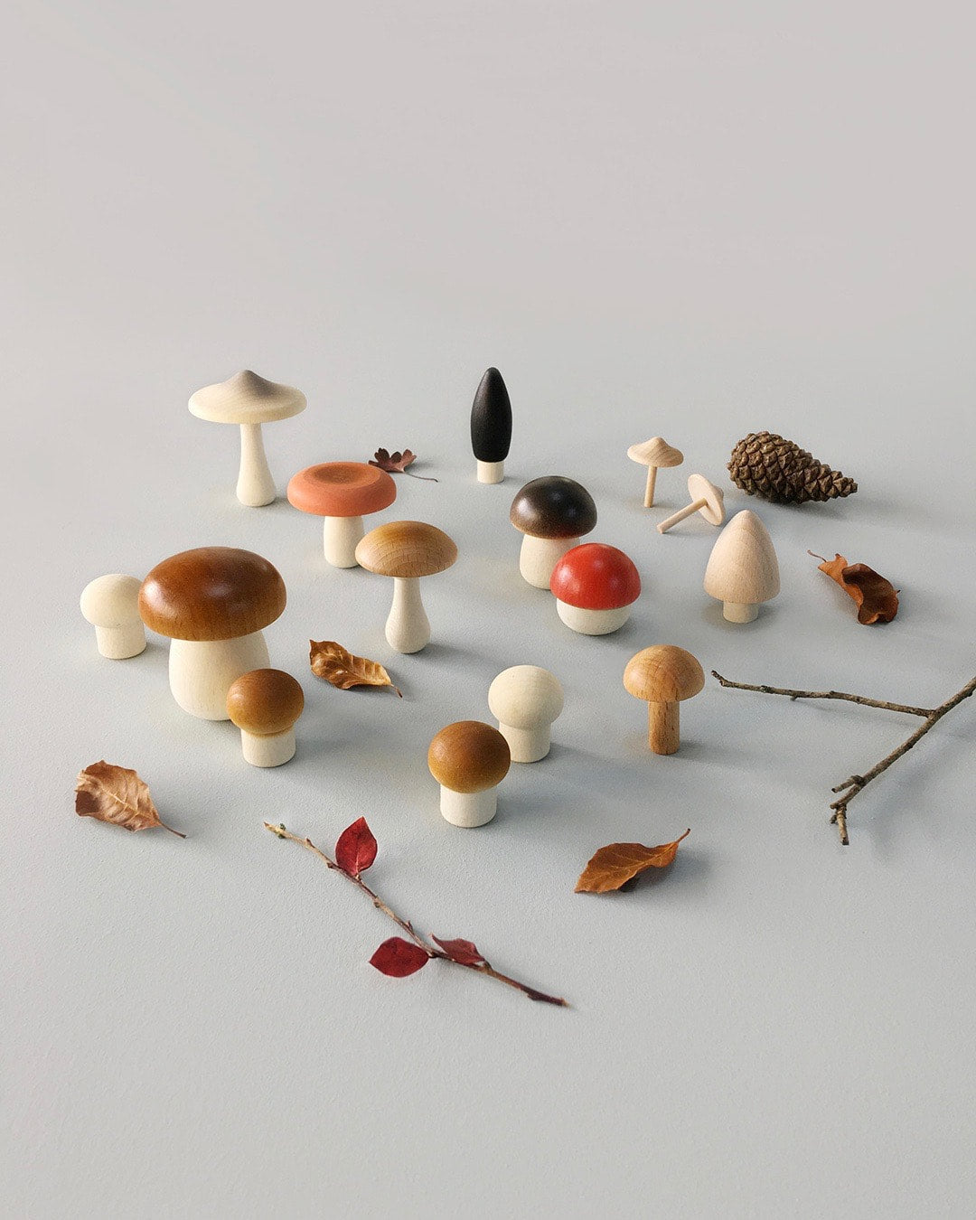 Forest Mushrooms Basket